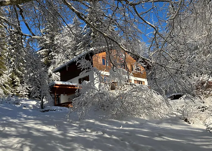 Alpehytte Ski-club Romand Bienne